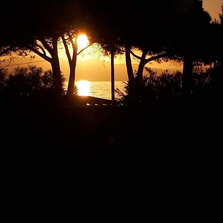 Hotel U Liamone Saint-Florent  Bagian luar foto